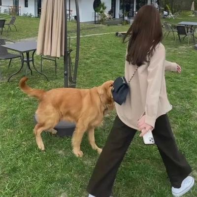 你的微笑